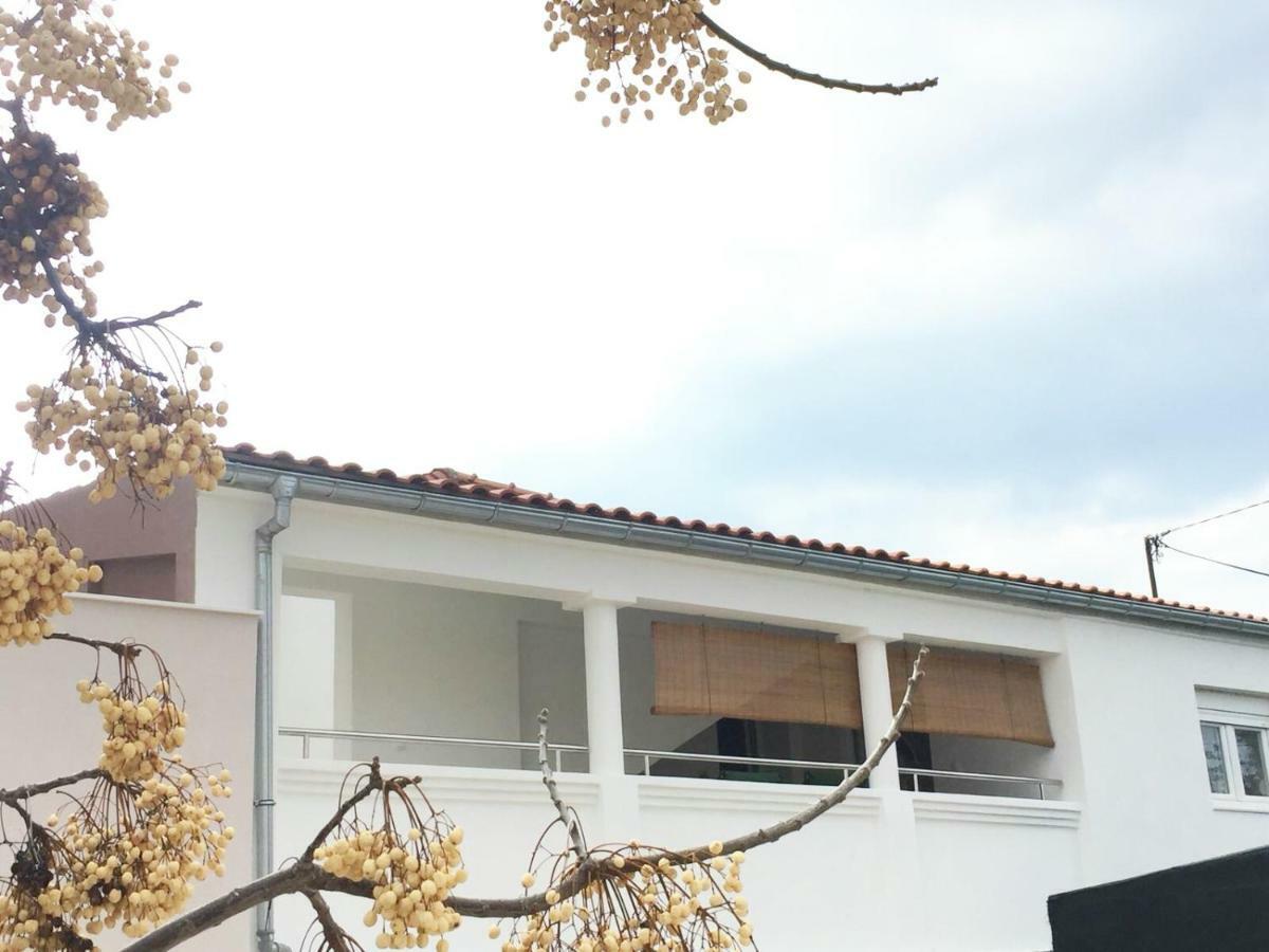 Apartman Luce Lägenhet Bibinje Exteriör bild